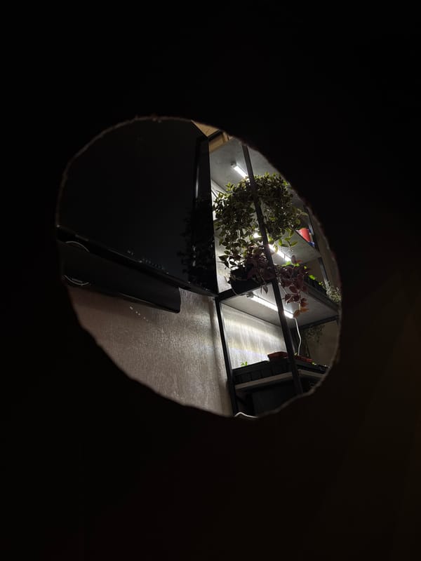 Mother and child visit dog enclosure in Izhevsk