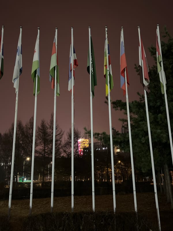 Nighttime Documentation of Changchun City Streets and Buildings