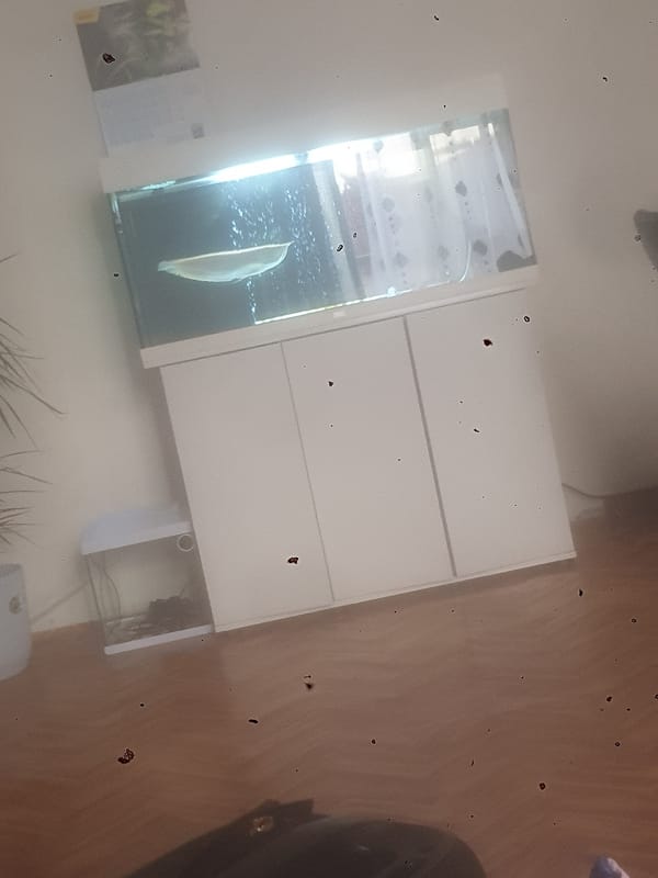 Interior room scene captured in Schaerbeek, Belgium residence