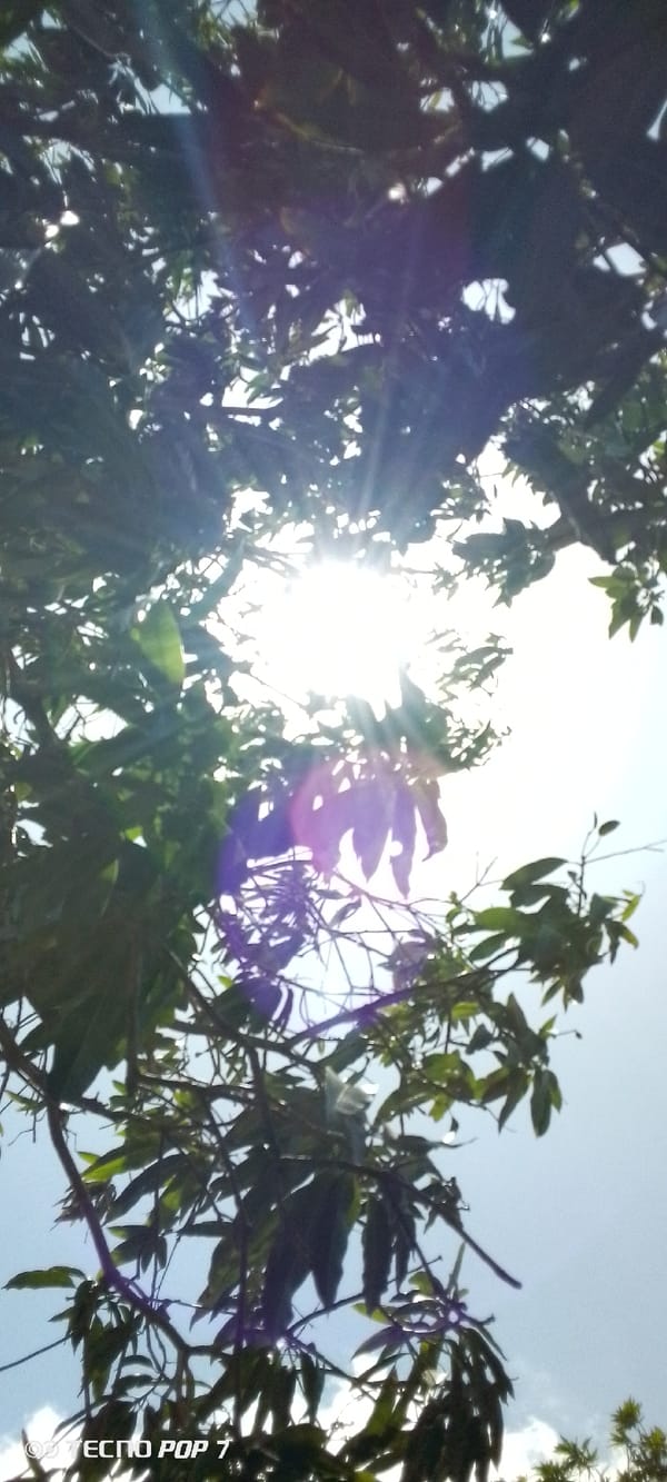 Hour-long sky watching session documented in Altagracia, Venezuela