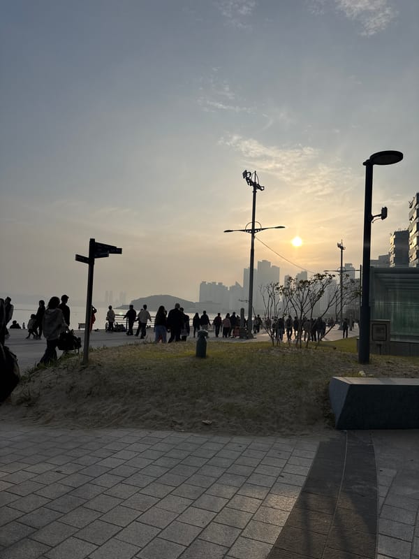 Evening waterfront activity and currency exchange in Busan