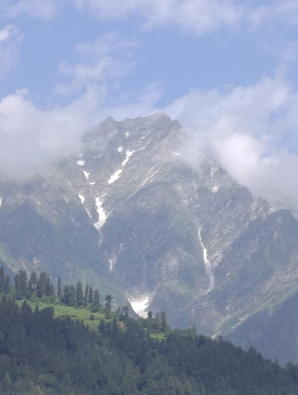 Snow-capped peaks and forested slopes around Vashisht, India
