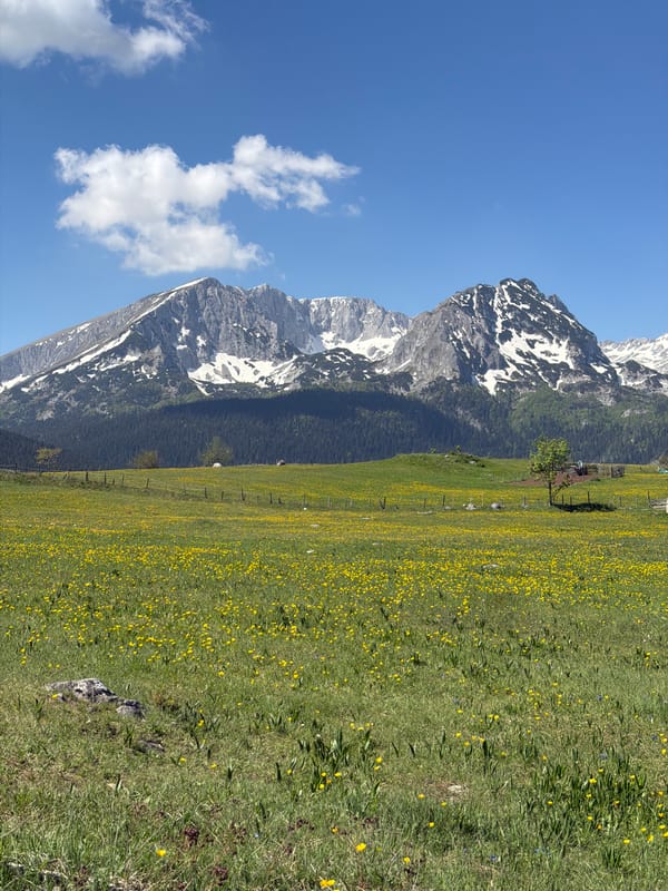 Mountain landscape with snow-capped peaks observed near Žabljak, Montenegro