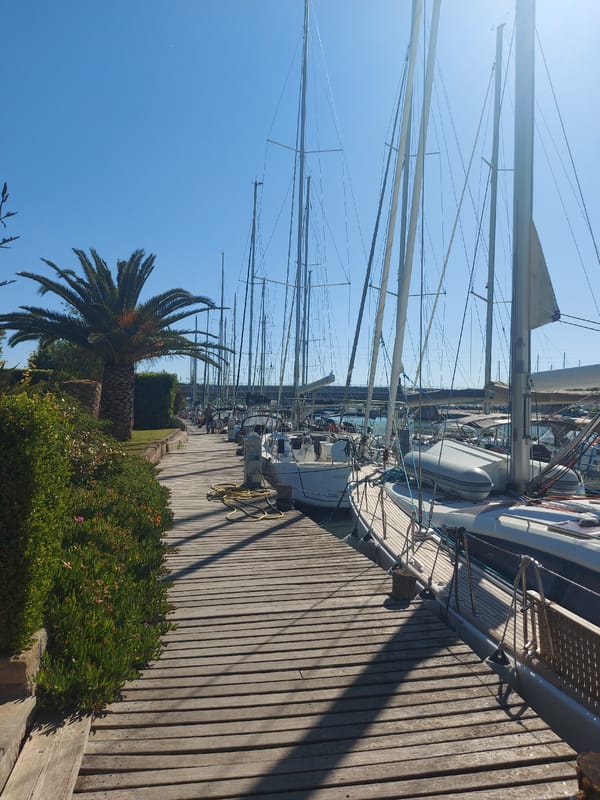 Morning scene at Fiumicino marina captures peaceful sailboat docking