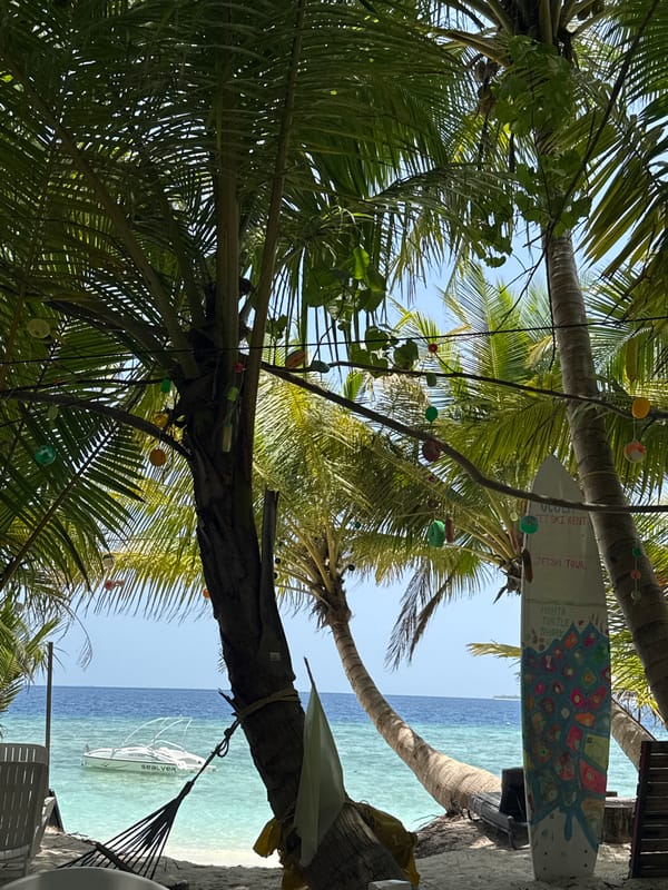 Tourist water activities observed on Maldives beach