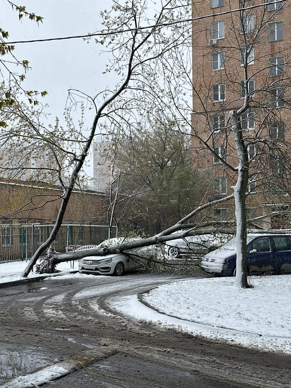 Late spring snowfall observed in Khimki, Russia