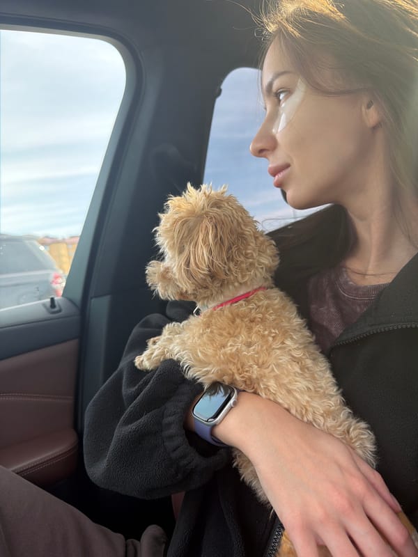Person holds small dog in vehicle in Мокшино, Russia