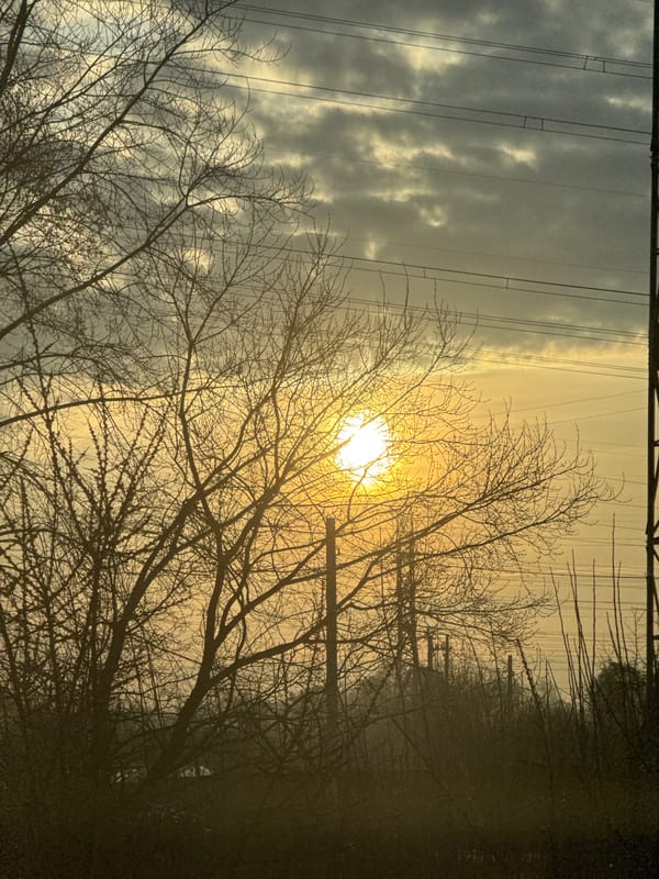 Dawn sky viewed through bare trees in Chaikovsky, Russia