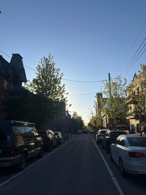 Quiet residential street captured in Montreal on sunny evening