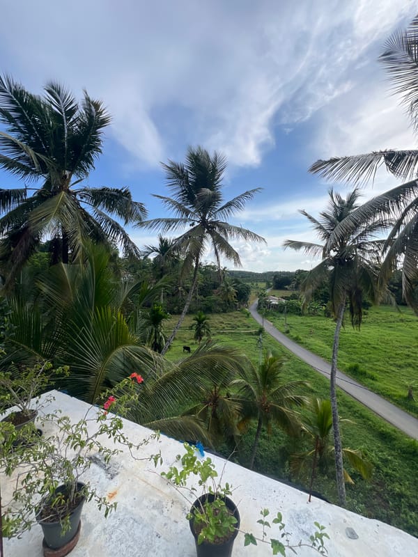 Scooters travel rural road amid palm trees in Sri Lanka