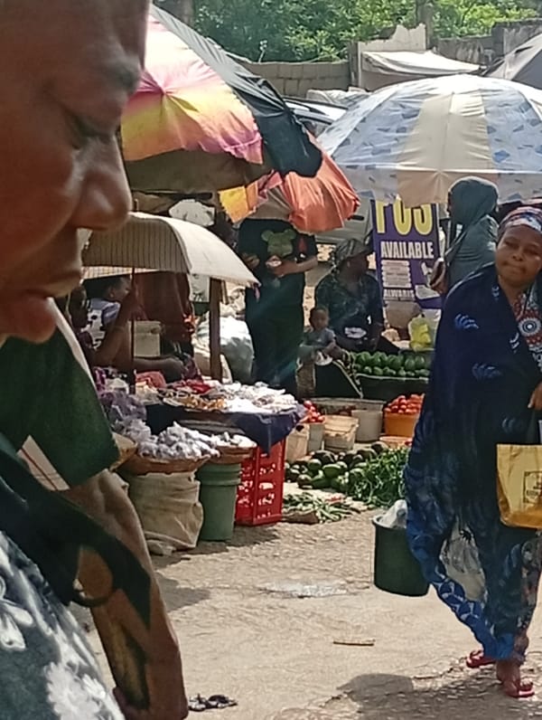 Morning market activity documented in Maiburiji, Nigeria