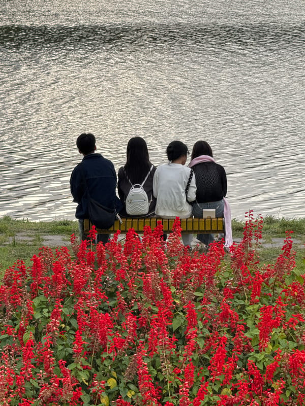 Overcast morning around Xuan Huong Lake, Da Lat