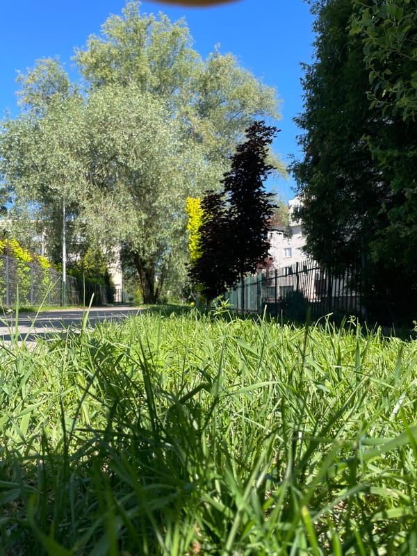 Morning urban walk documented through 30 casual street observations