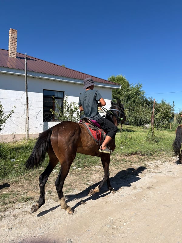 Horses, cattle, wildflowers, and trout on a rural summer morning