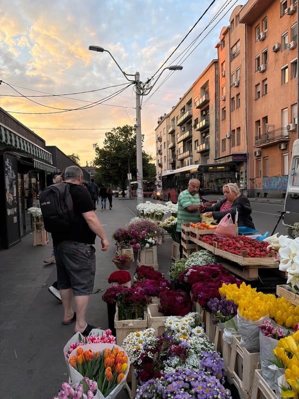 Afternoon market life and street cats captured in Belgrade district