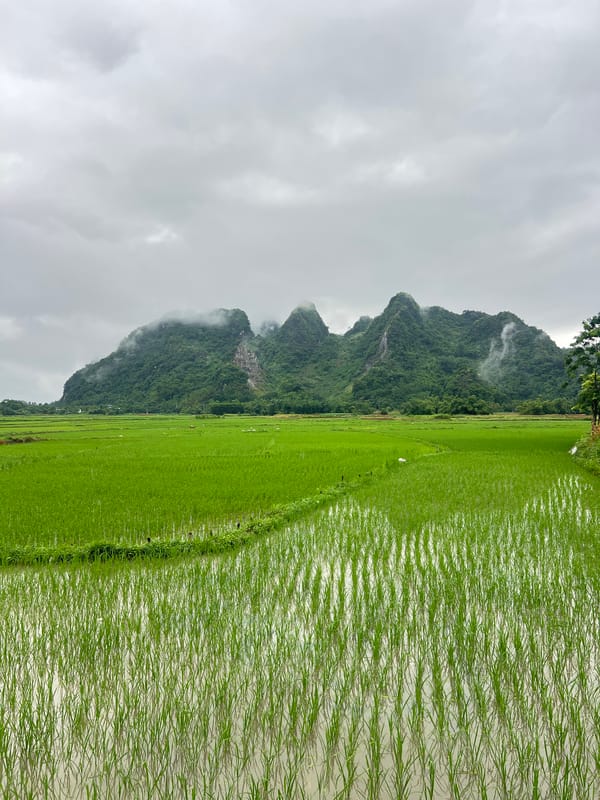 Flooded rice paddies under cloudy skies in rural northern Vietnam