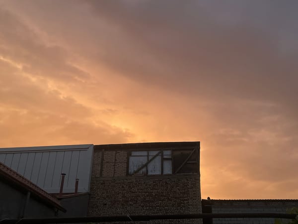 Tashkent rooftops at dusk, warm sunset colors overhead