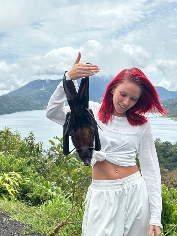 Tourists interact with wildlife at Indonesian animal attractions
