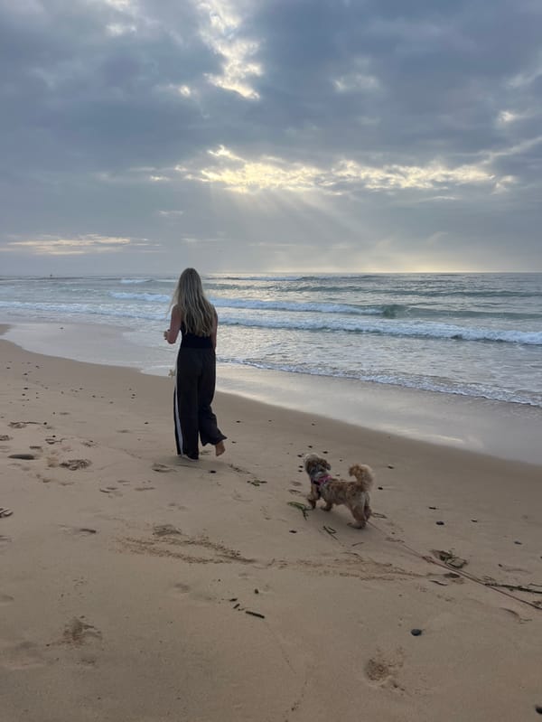 Evening beach walks captured at Bulli Beach, Australia