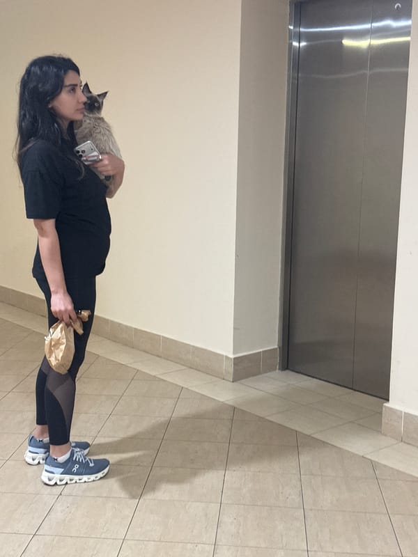 Woman holds Siamese cat and bag in Dubai building