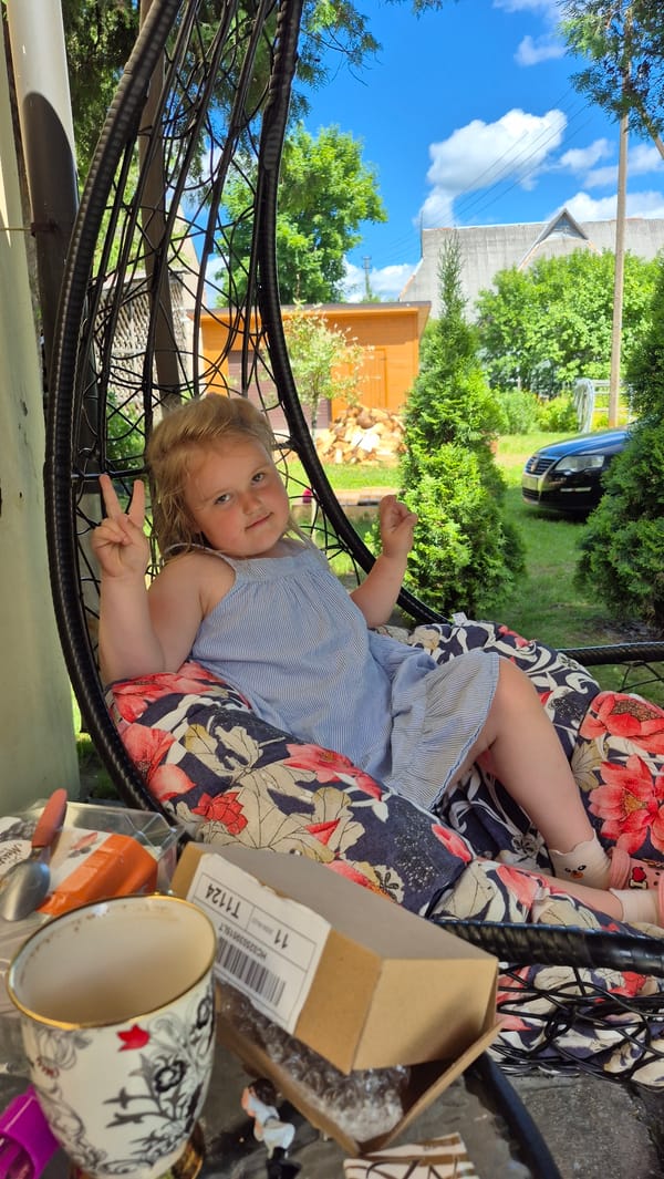 Summer morning at a Švenčionys backyard, church nearby
