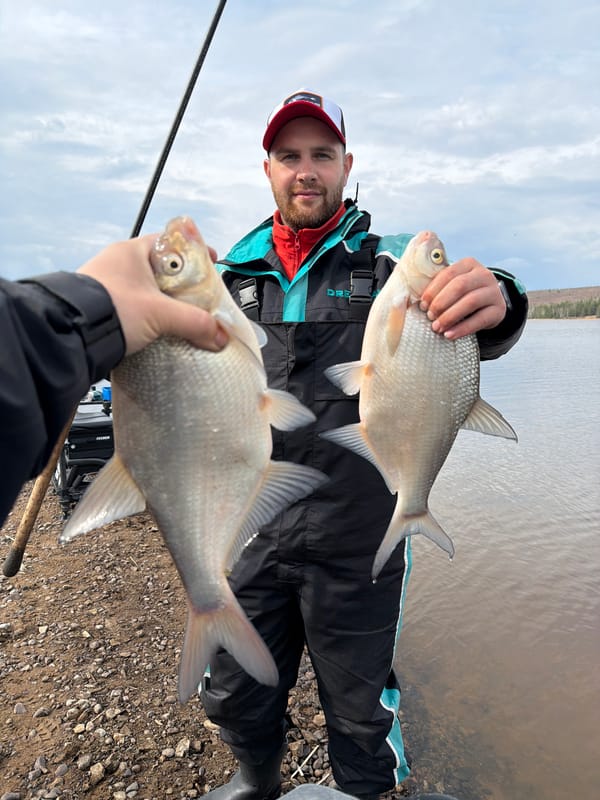 Successful fishing session yields multiple catches on Kama River