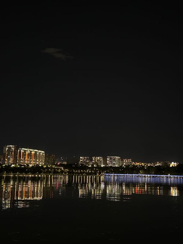Almaty at night: reflections, a playground, and a cigarette case