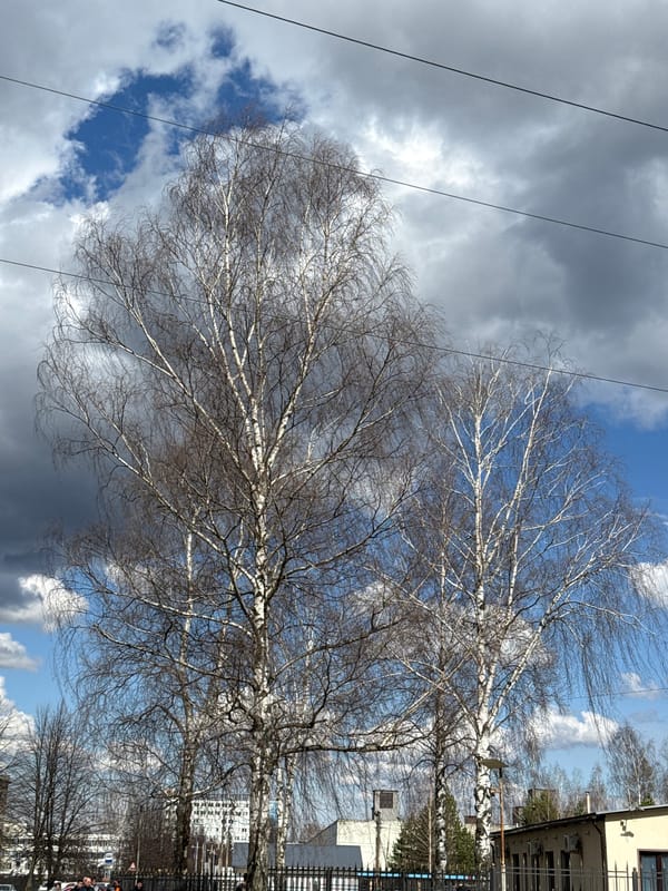 Dramatic spring landscape documented in Chaikovsky, Russia