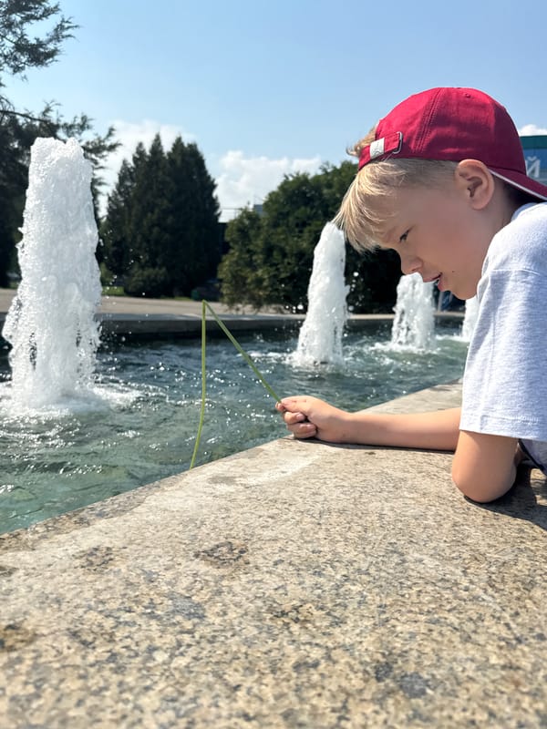 Child explores Dmitrov park areas while ducks swim nearby