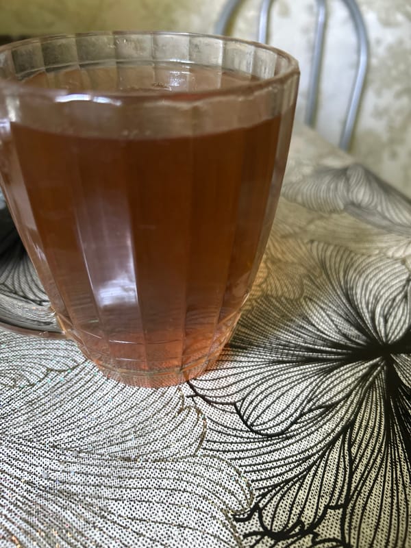 Morning routine documented in Tugulym home over 34 minutes