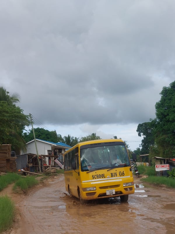 School bus and street vendor spotted in Dar es Salaam