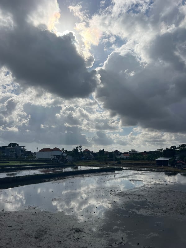 Flooded rice field reflects a dramatic, patchy sky in North Kuta