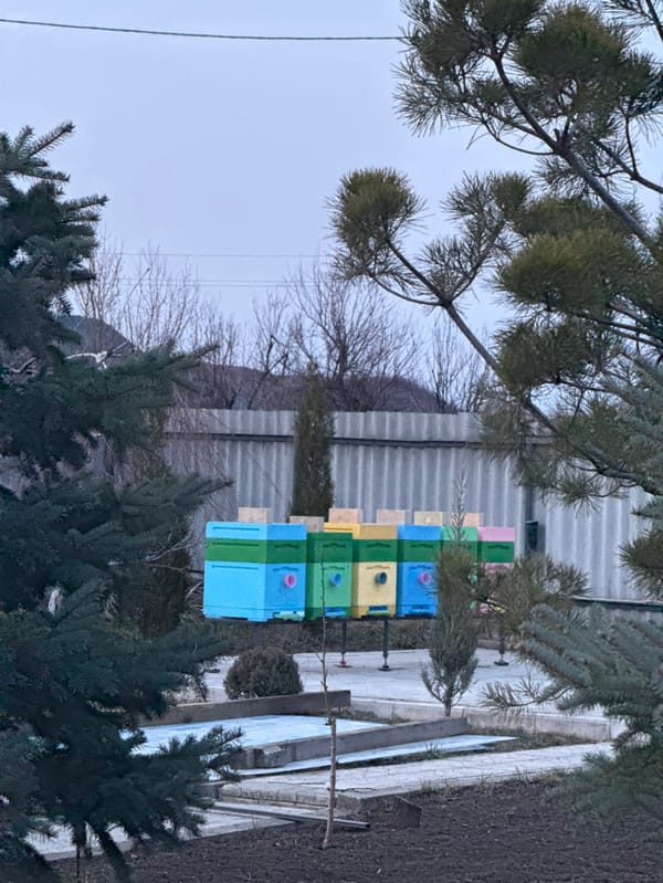 Woman documents daily life moments in Makiivka, Ukraine