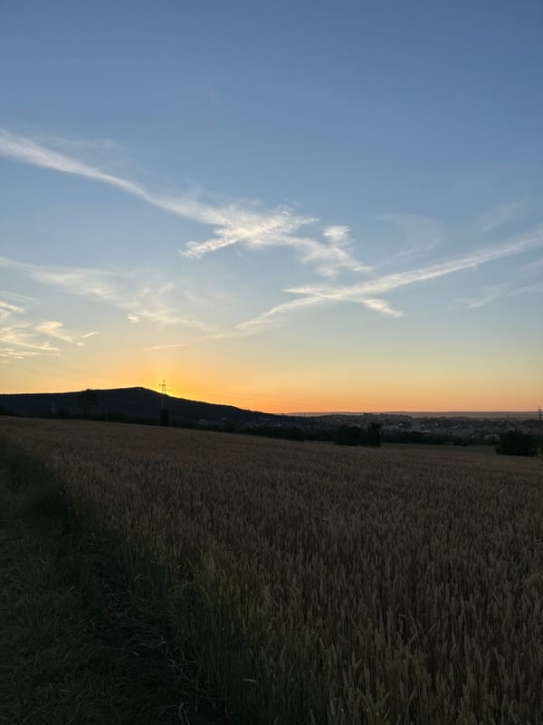 Golden hour walk through wheat fields and rural dirt paths