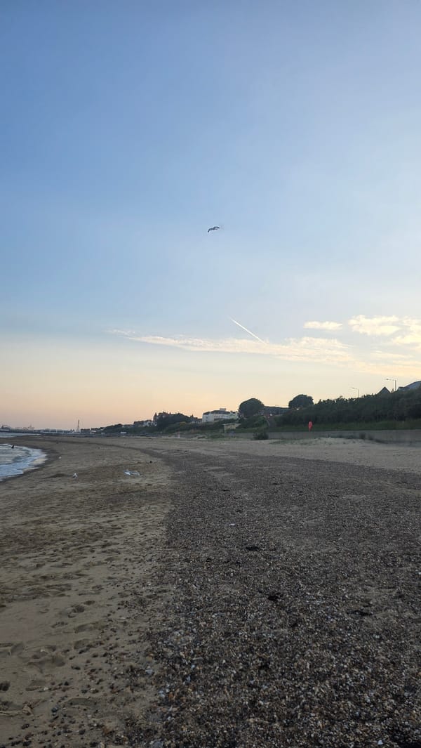 Beach at golden hour into twilight, moon rising over calm surf