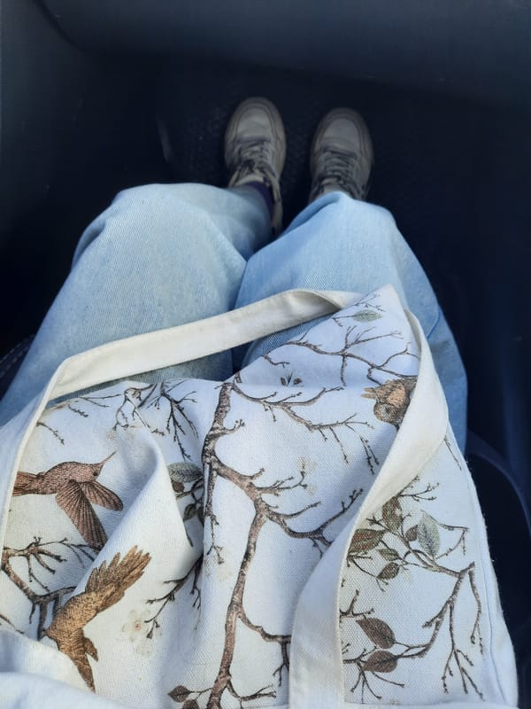 Person photographed sitting in vehicle in Krasnogorskoye, Russia