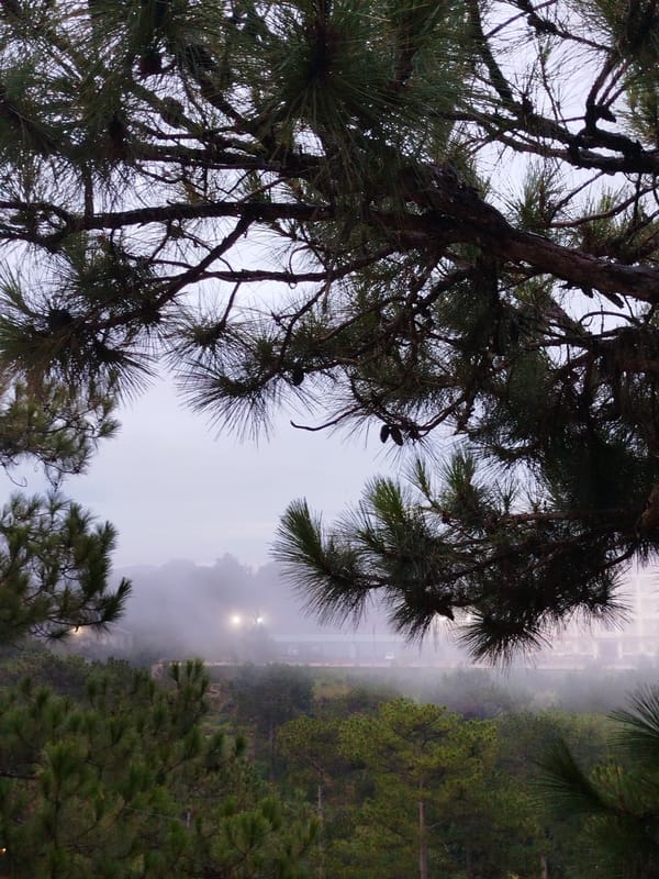 Everyday life documented in misty Lạc Dương, Vietnam
