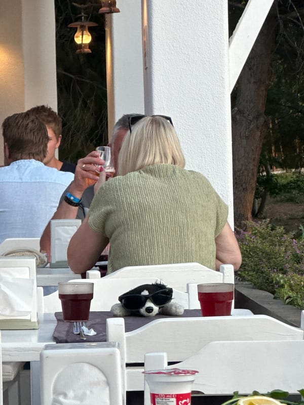 Afternoon scenes captured in Fethiye: dining, cat, motorcycles