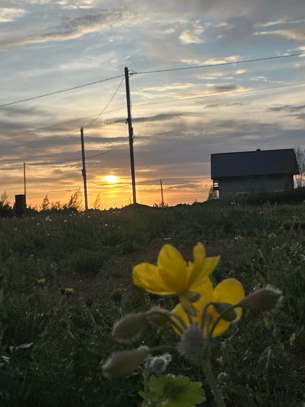 Sunset documented over rural Прикамский, Russia landscape