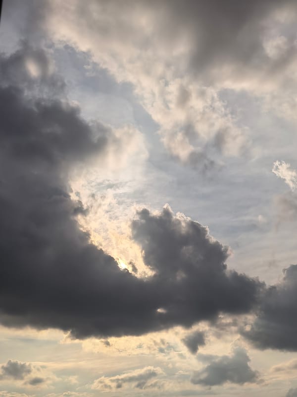 Stormy skies and a raptor in flight, caught mid-afternoon.