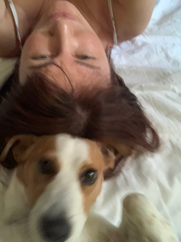 Lazy afternoon rest with a dog in Tuscany
