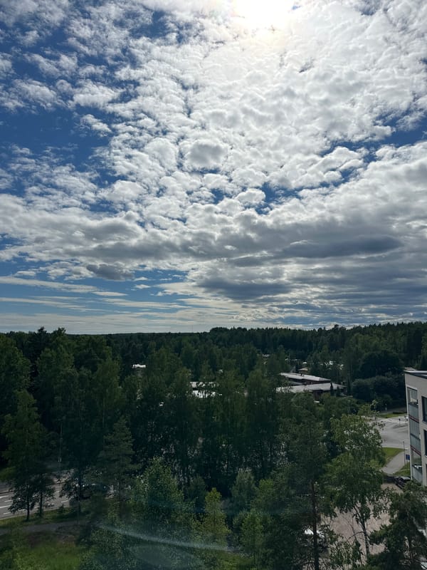 Apartment views and fresh produce on a sunny afternoon