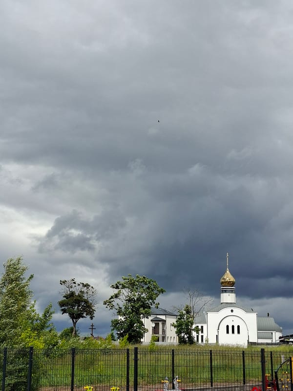 Morning tour of Augustów's churches, countryside and businesses