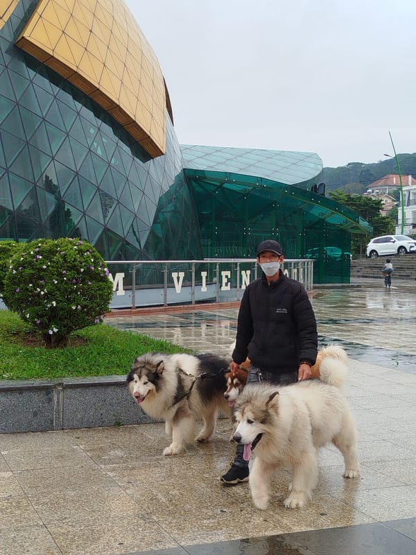 Ordinary Friday morning moments captured across Da Lat streets