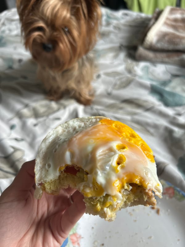 Tattooed individual takes mirror selfie in Burgas interior