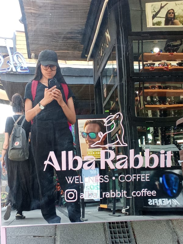 International cultural market draws crowds in Providencia, Chile