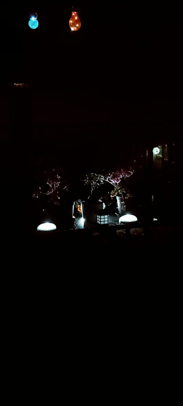 Backyard night scene with string lights and a paper lantern