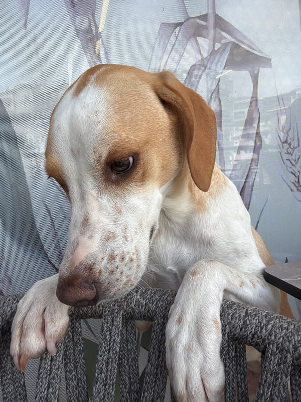 Daily life moments documented in Budva, Montenegro