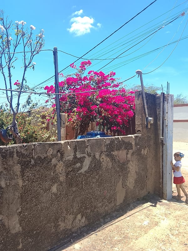 Girl stands by walls under blue sky with overhead wires
