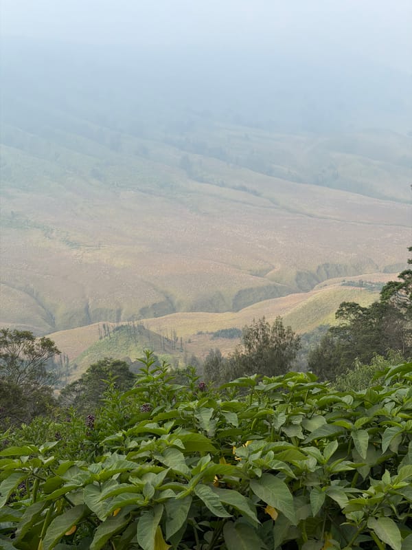 Misty morning views across Ngadas' volcanic highlands